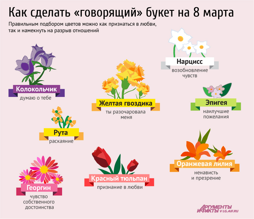 Значение цветов в букете. Инфографика с цветами. Что символизируют цветы. Значение цвета роз. Обозначения цветка.